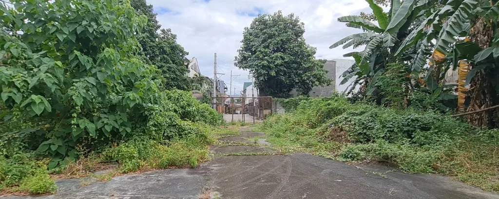 Vacant Lot – Sumulong Highway, Mayamot, photo 1