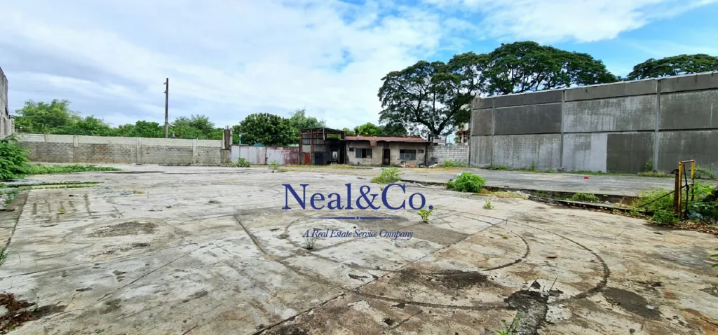 Vacant Lot – Boris III, Sumulong Highway, Mambugan, photo 1