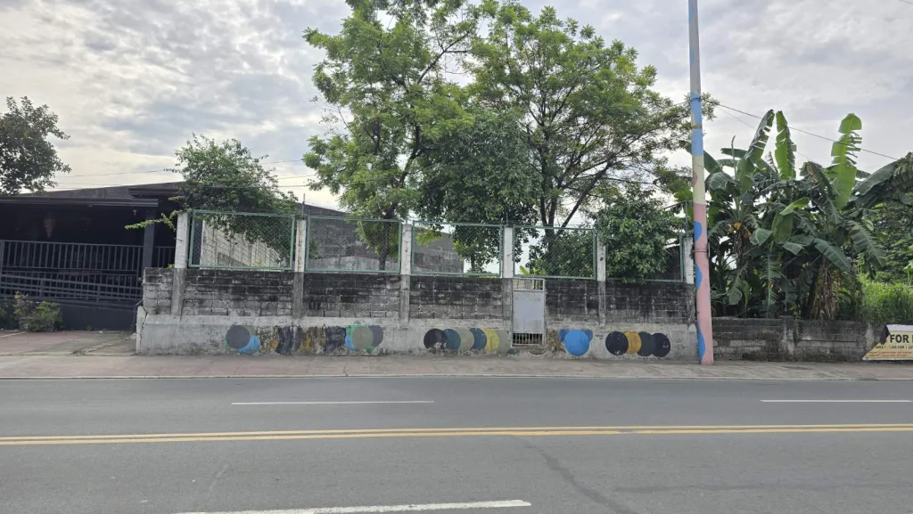 Vacant Lot – Gil Fernando Avenue Extension, Sto. Nino, photo 1
